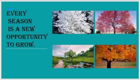 An image of artwork created for the Love Your Tree campaign